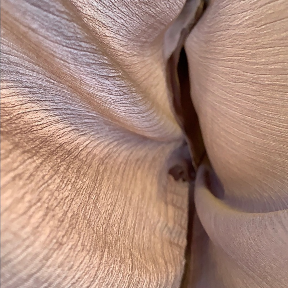 NWT Tan sheer palazzo pants - Picture 3 of 8